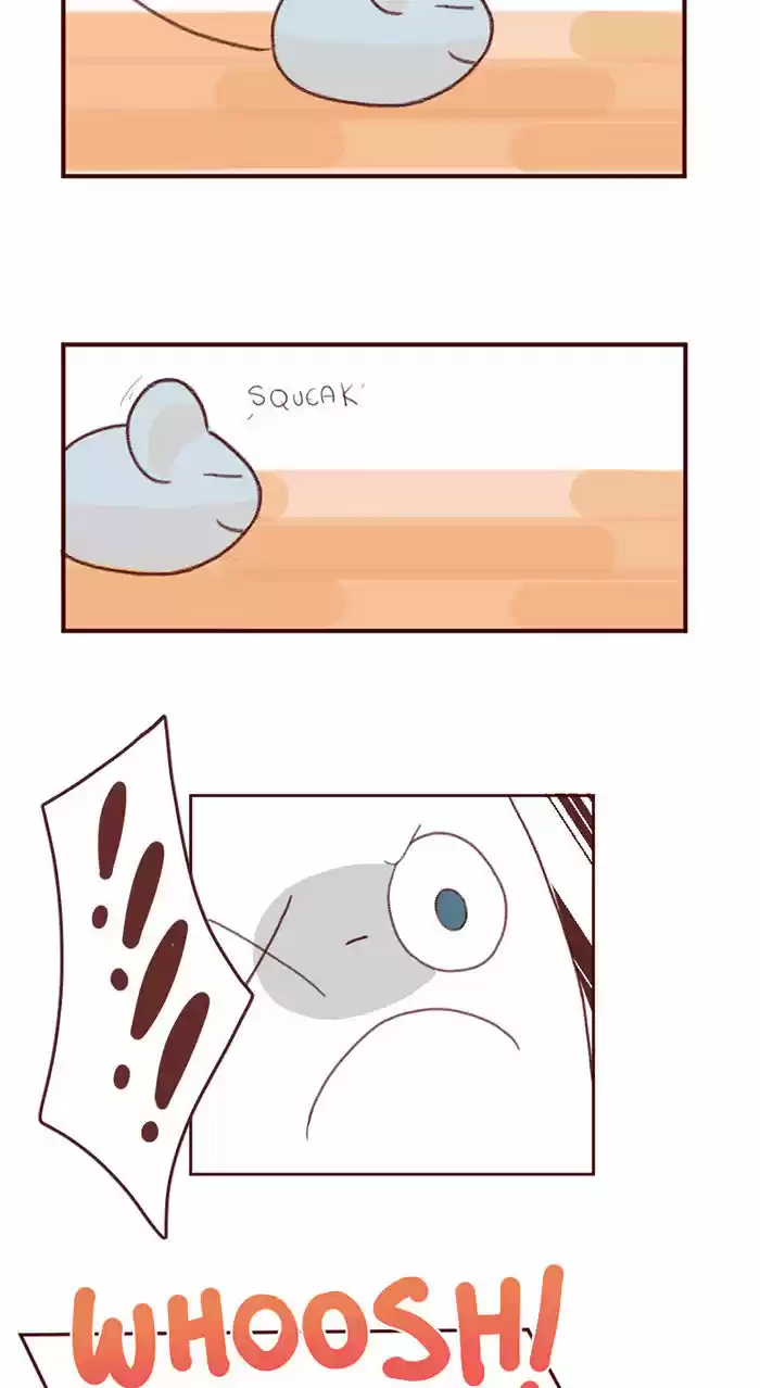 Saphie: The One-Eyed Cat 3