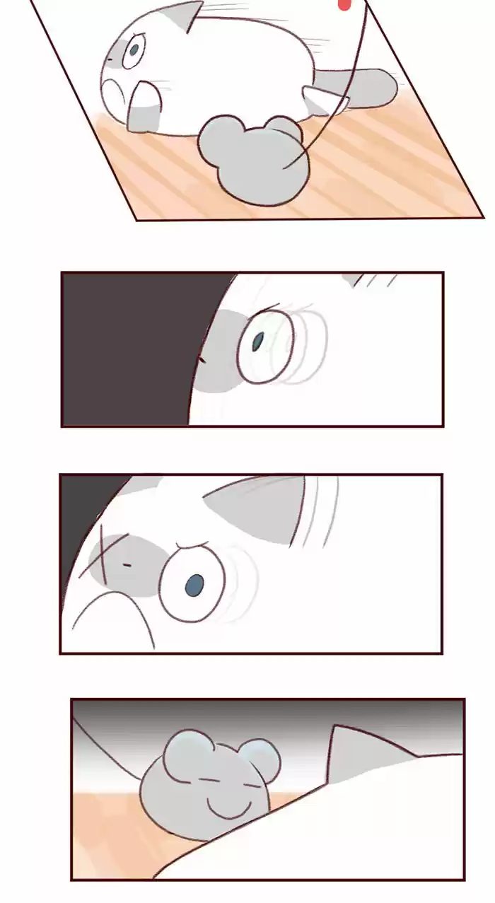 Saphie: The One-Eyed Cat 3