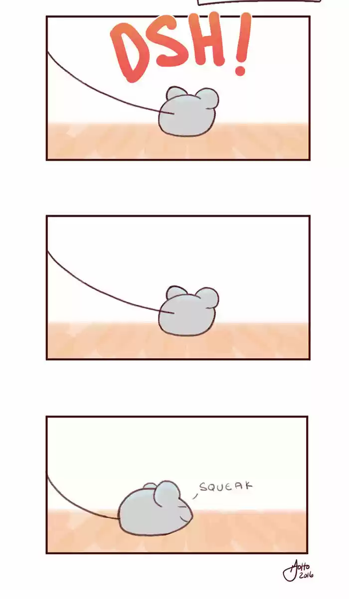 Saphie: The One-Eyed Cat 3