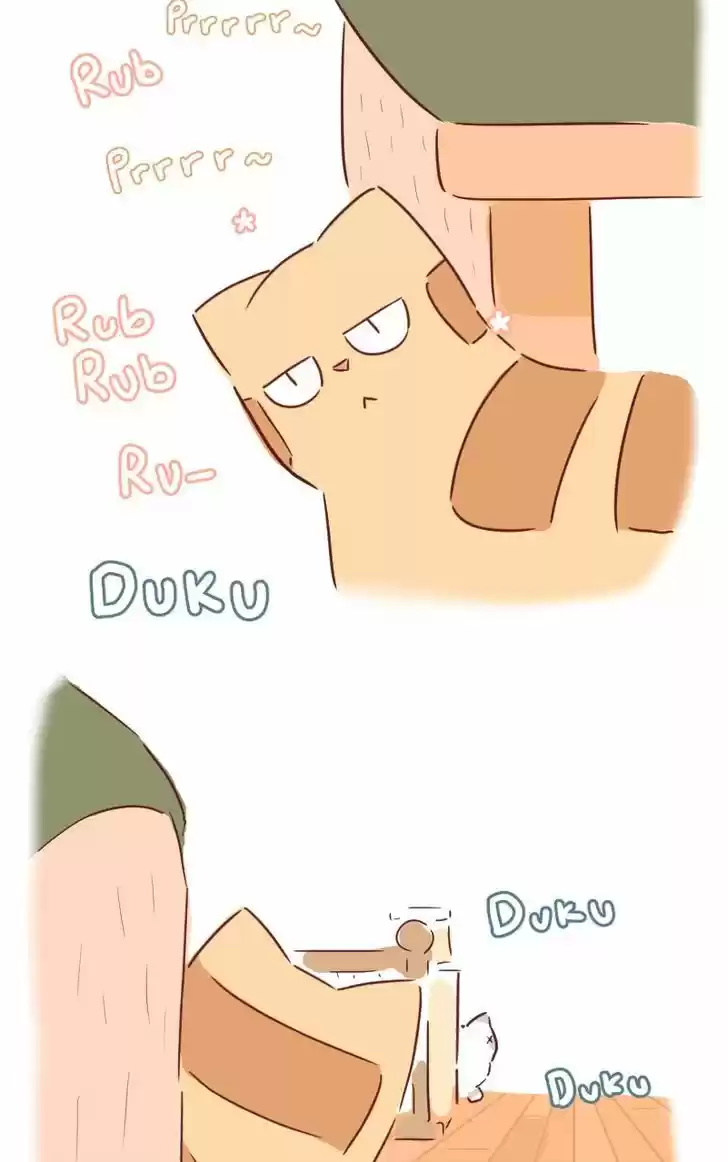 Saphie: The One-Eyed Cat 30