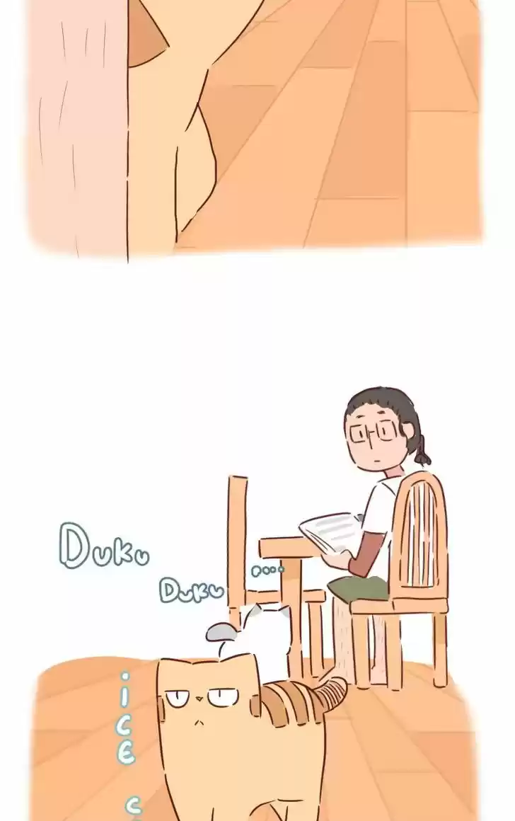 Saphie: The One-Eyed Cat 30