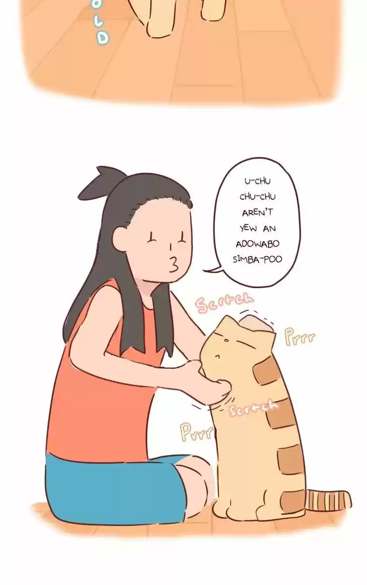 Saphie: The One-Eyed Cat 30