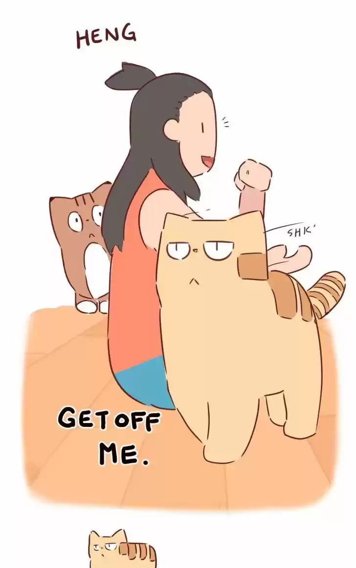 Saphie: The One-Eyed Cat 30