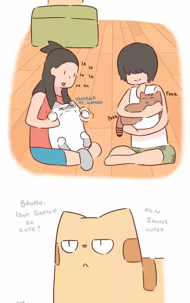 Saphie: The One-Eyed Cat 30