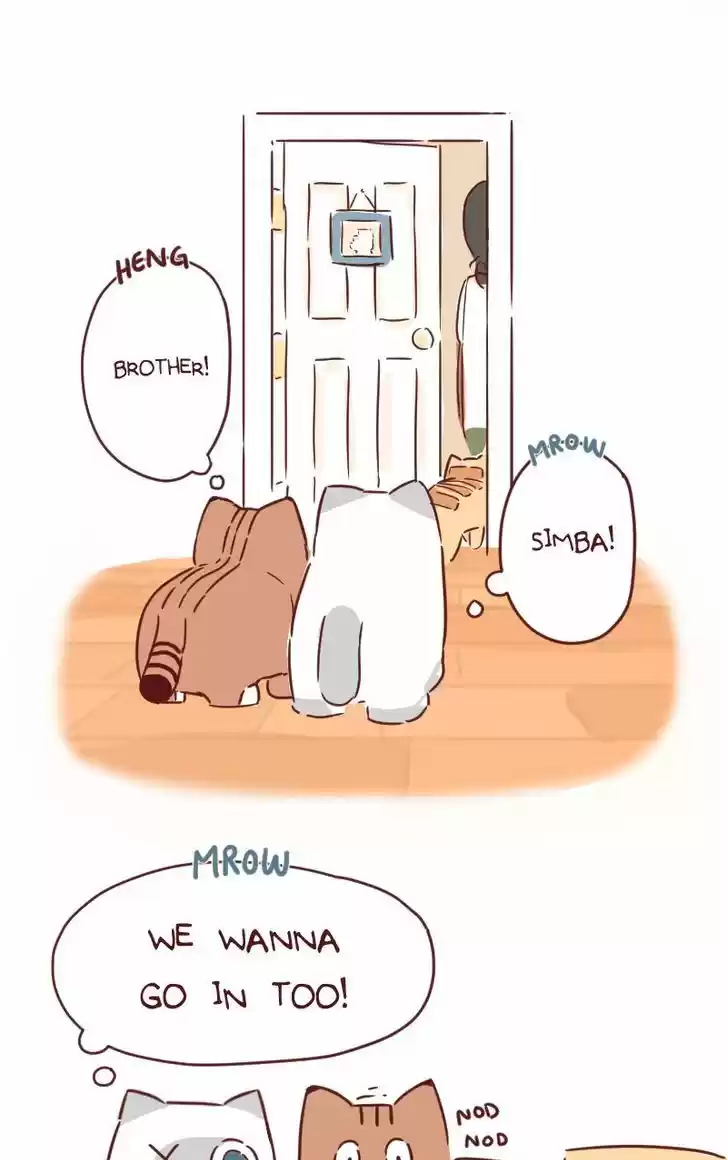 Saphie: The One-Eyed Cat 30