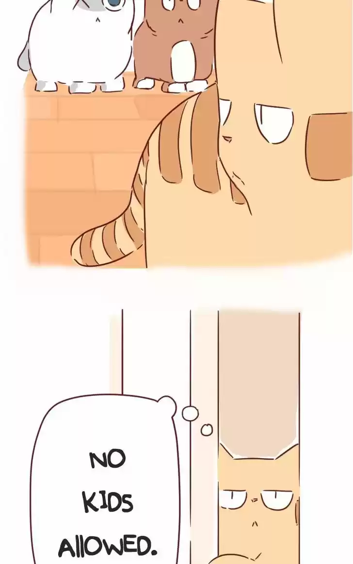 Saphie: The One-Eyed Cat 30