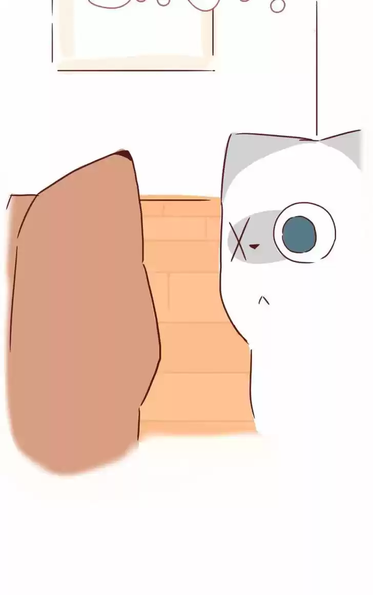 Saphie: The One-Eyed Cat 30