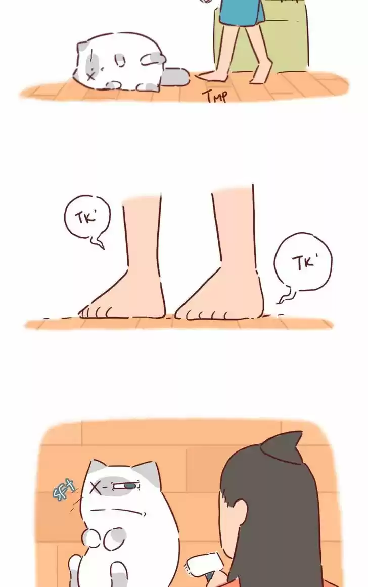 Saphie: The One-Eyed Cat 31