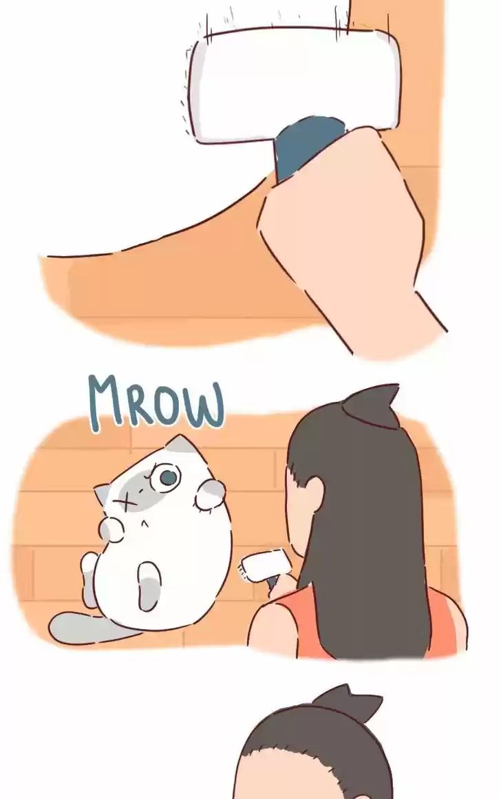 Saphie: The One-Eyed Cat 31