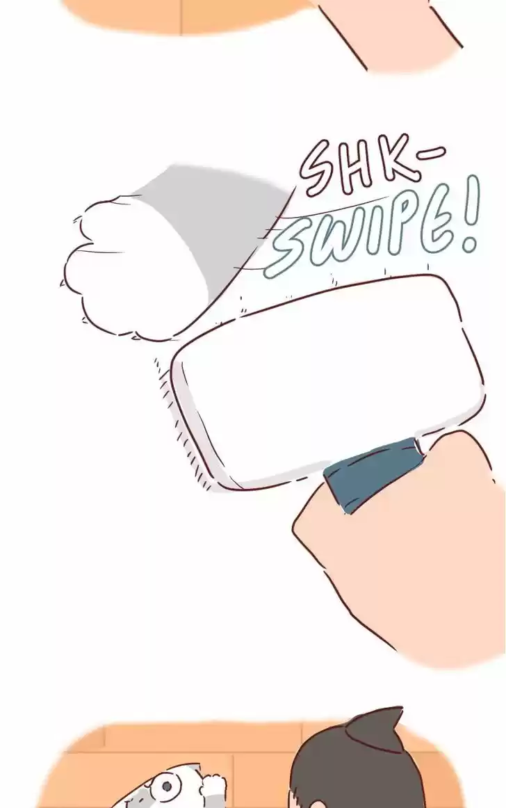 Saphie: The One-Eyed Cat 31