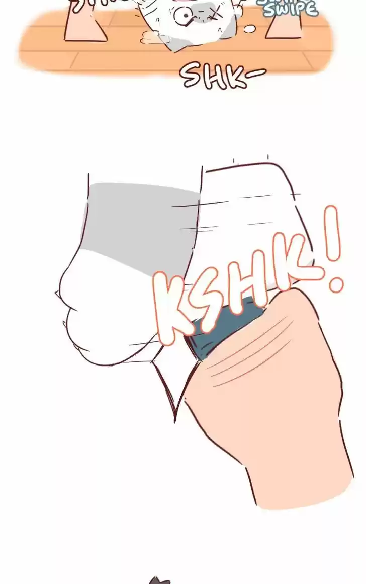 Saphie: The One-Eyed Cat 31