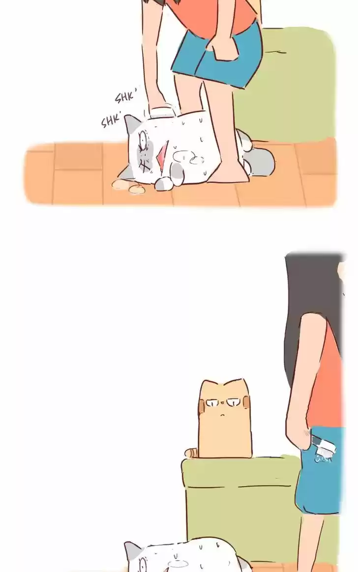 Saphie: The One-Eyed Cat 31