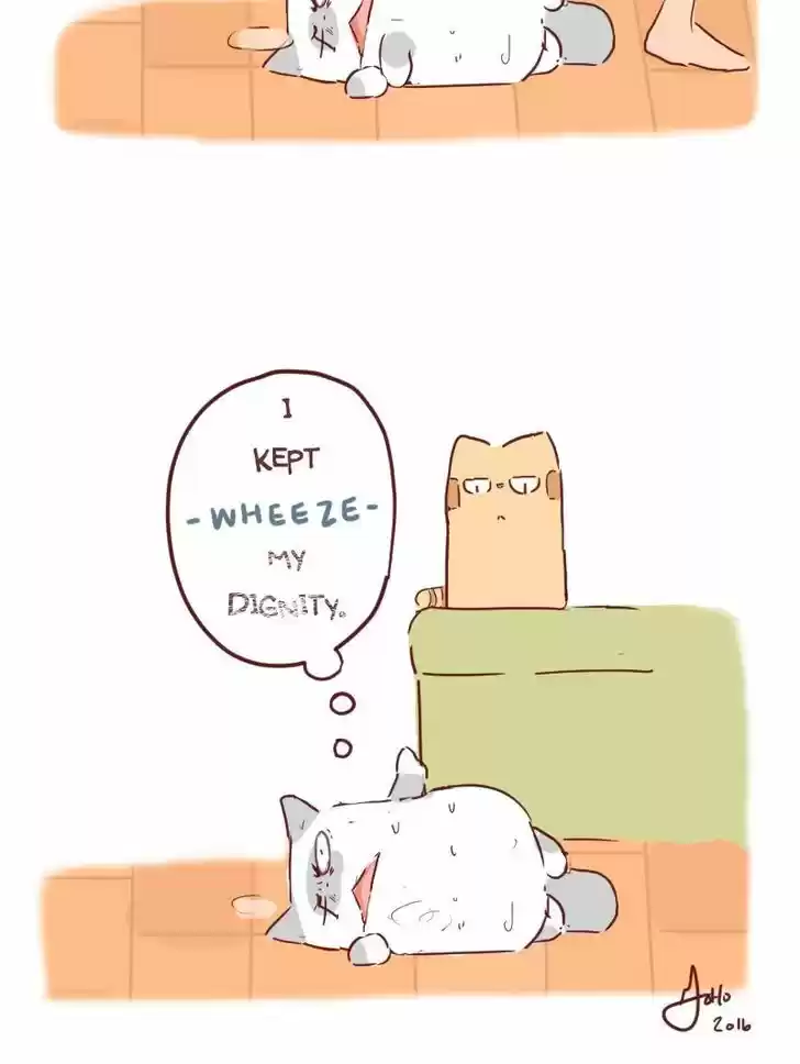 Saphie: The One-Eyed Cat 31