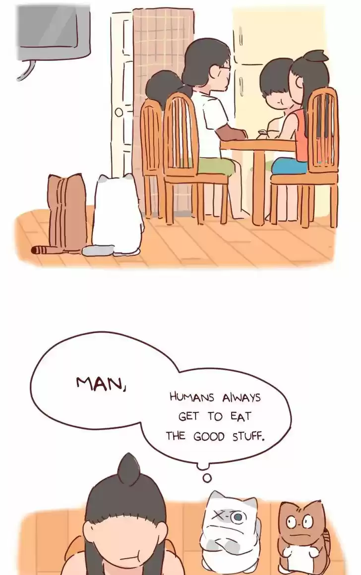 Saphie: The One-Eyed Cat 32