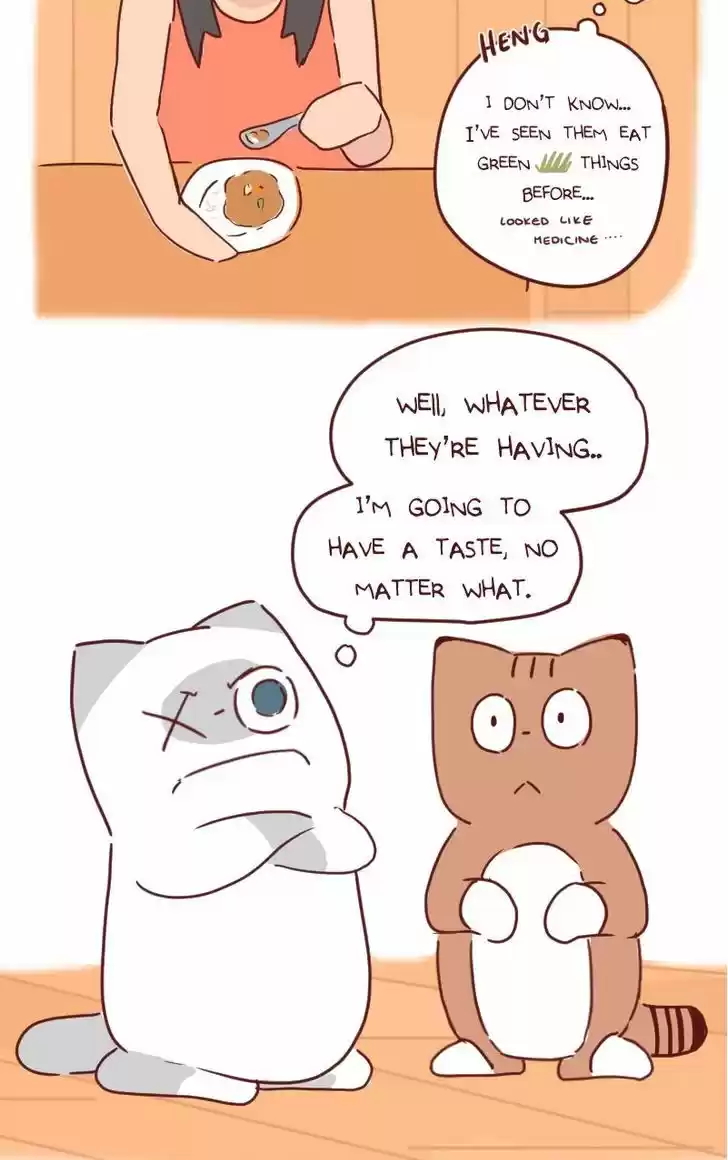 Saphie: The One-Eyed Cat 32