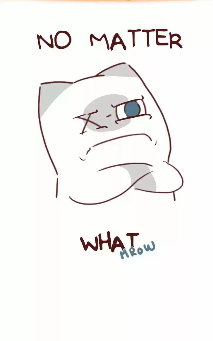 Saphie: The One-Eyed Cat 32