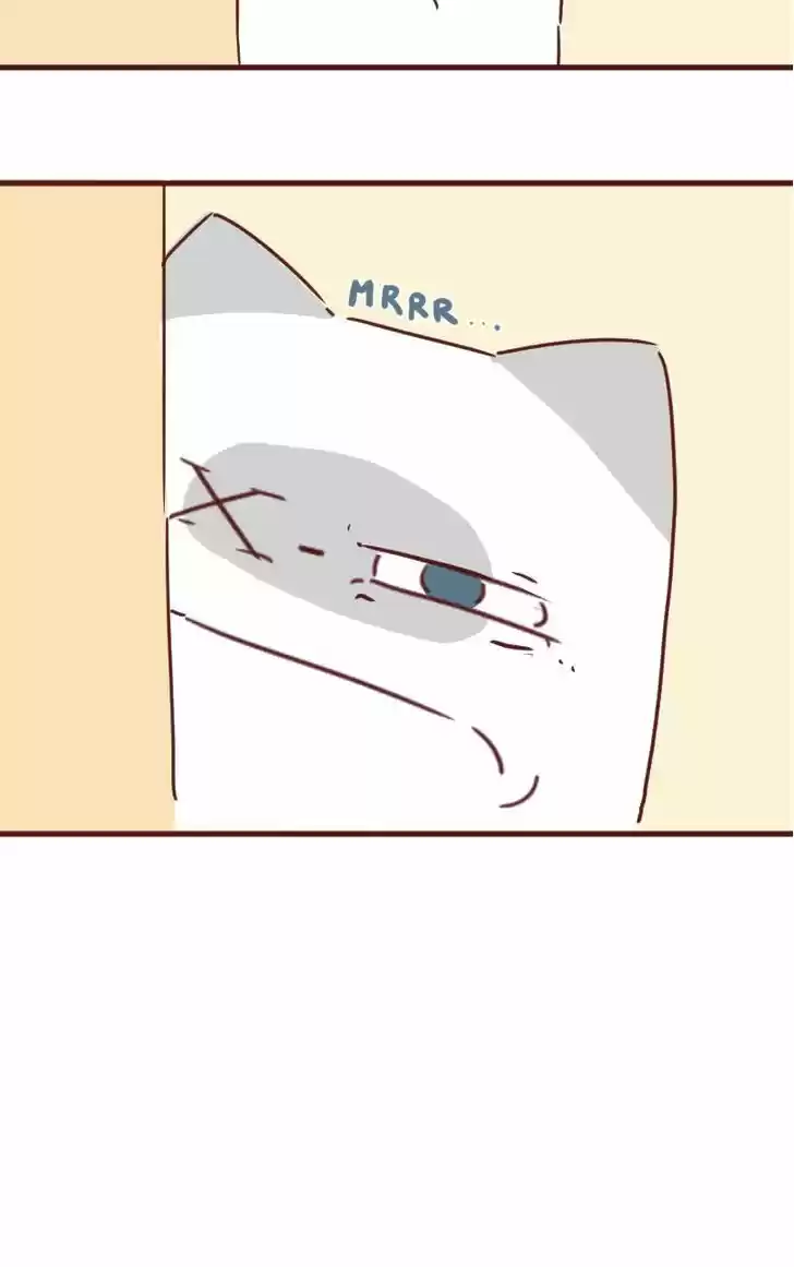 Saphie: The One-Eyed Cat 32