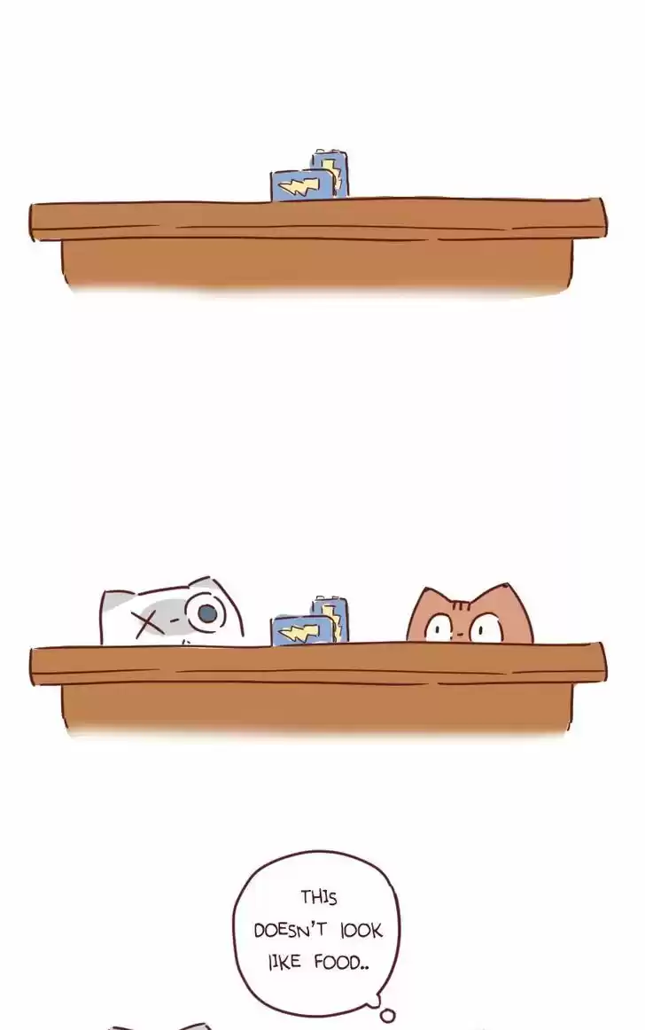 Saphie: The One-Eyed Cat 32