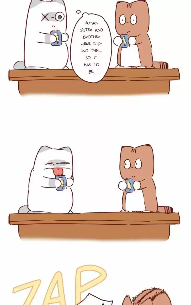 Saphie: The One-Eyed Cat 32