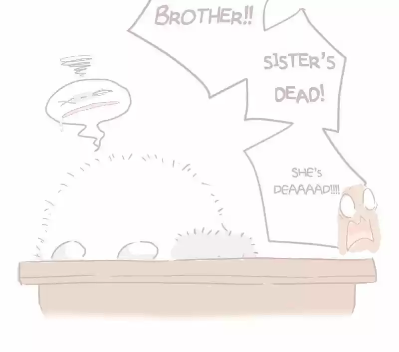 Saphie: The One-Eyed Cat 32