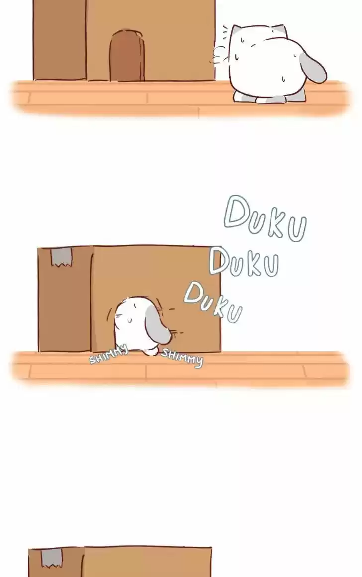 Saphie: The One-Eyed Cat 33