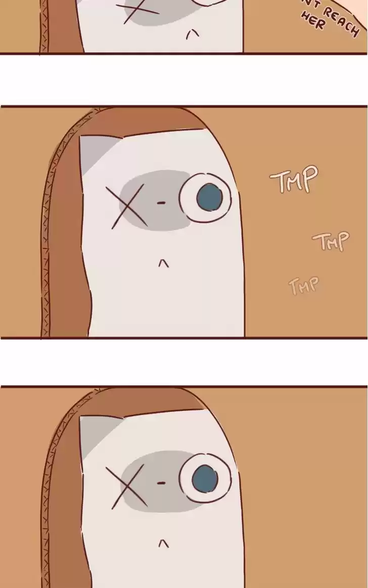 Saphie: The One-Eyed Cat 33