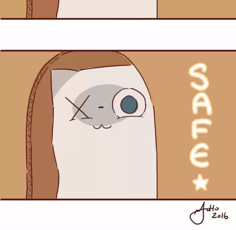 Saphie: The One-Eyed Cat 33