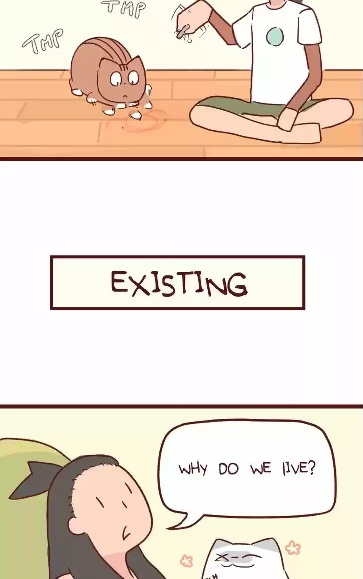 Saphie: The One-Eyed Cat 34