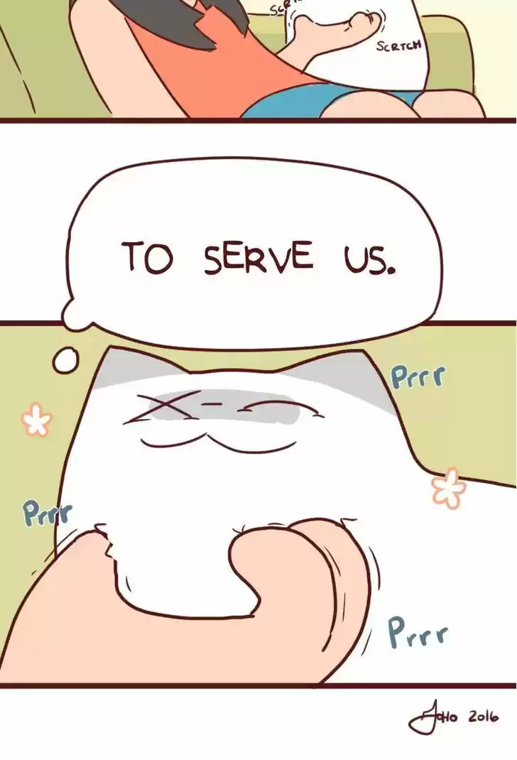 Saphie: The One-Eyed Cat 34