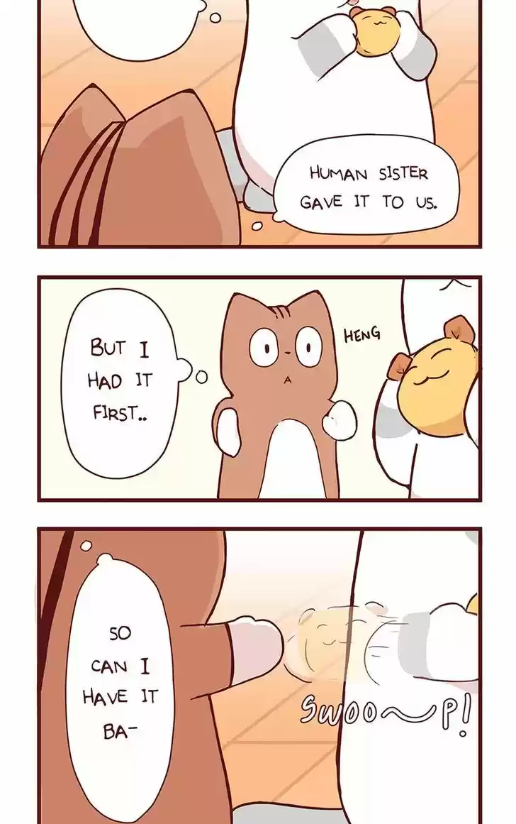 Saphie: The One-Eyed Cat 36