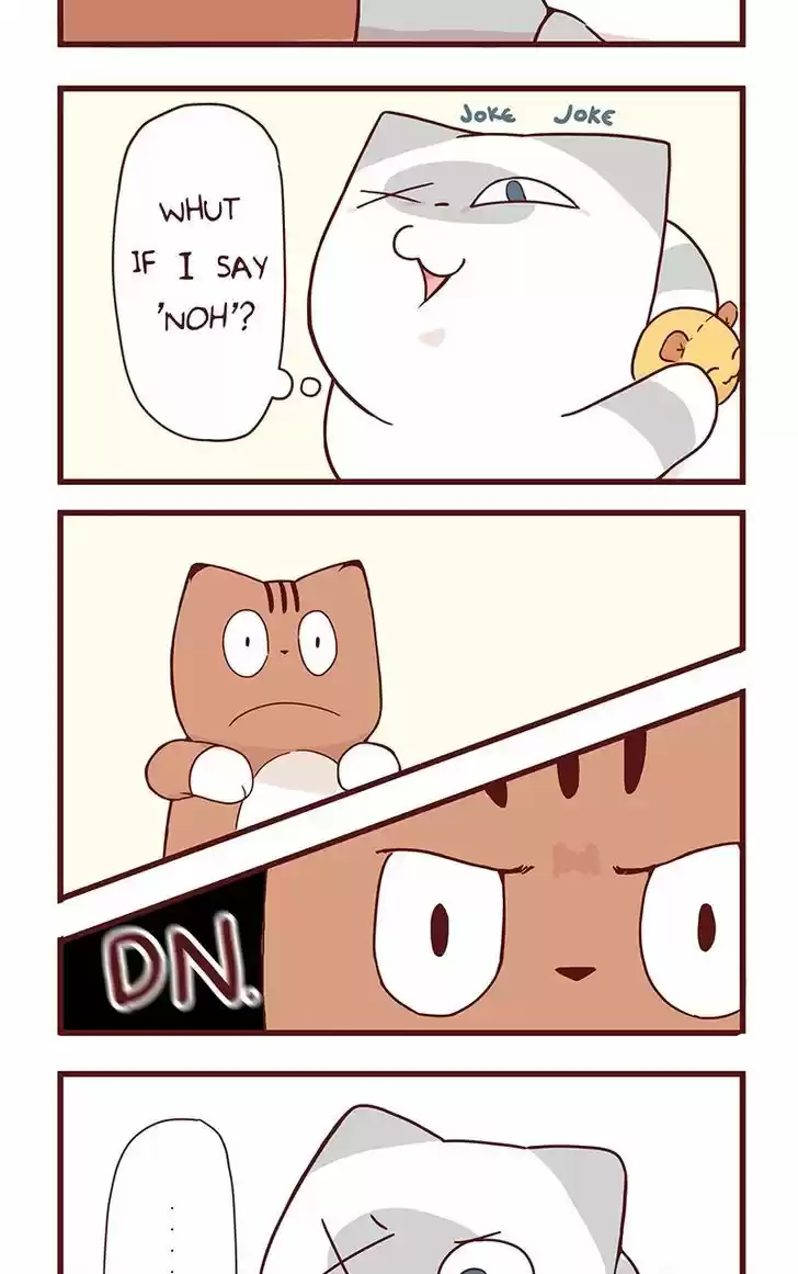 Saphie: The One-Eyed Cat 36