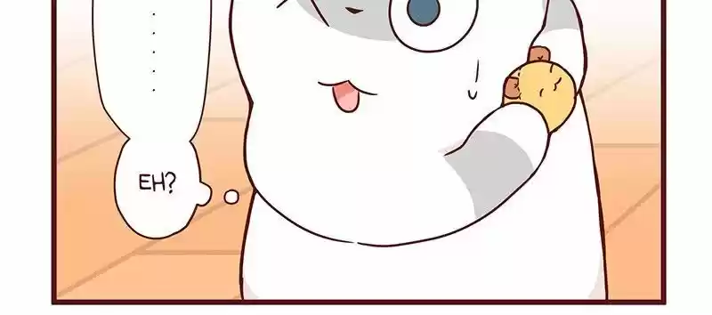 Saphie: The One-Eyed Cat 36