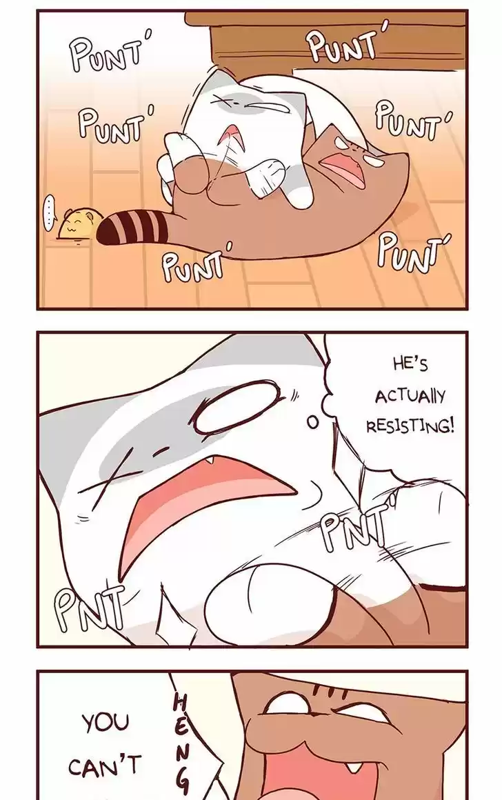 Saphie: The One-Eyed Cat 36