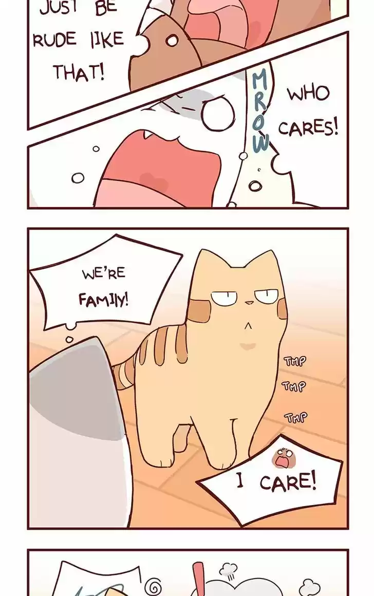 Saphie: The One-Eyed Cat 36