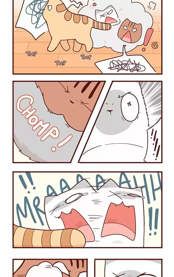 Saphie: The One-Eyed Cat 36