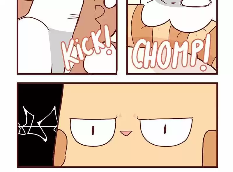 Saphie: The One-Eyed Cat 36