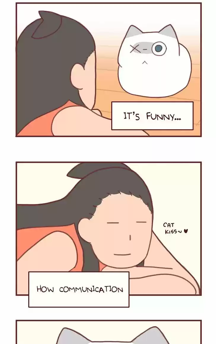 Saphie: The One-Eyed Cat 37