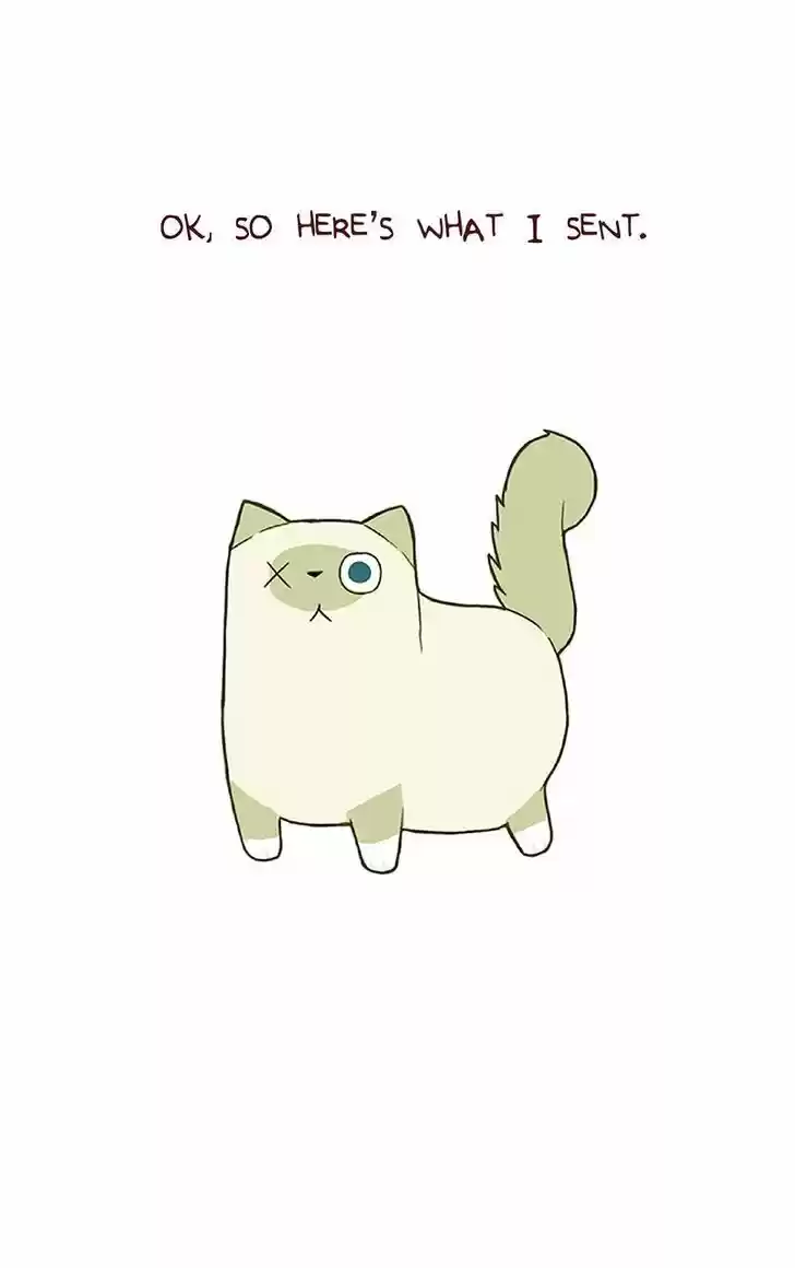 Saphie: The One-Eyed Cat 38