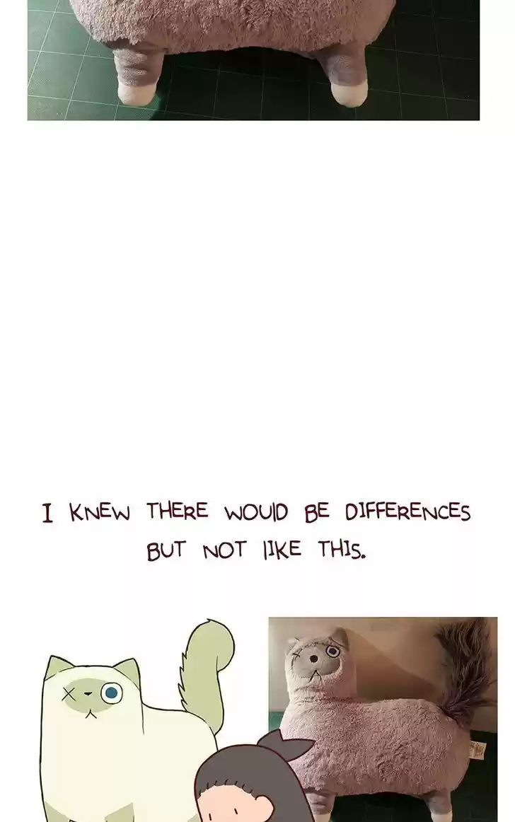 Saphie: The One-Eyed Cat 38