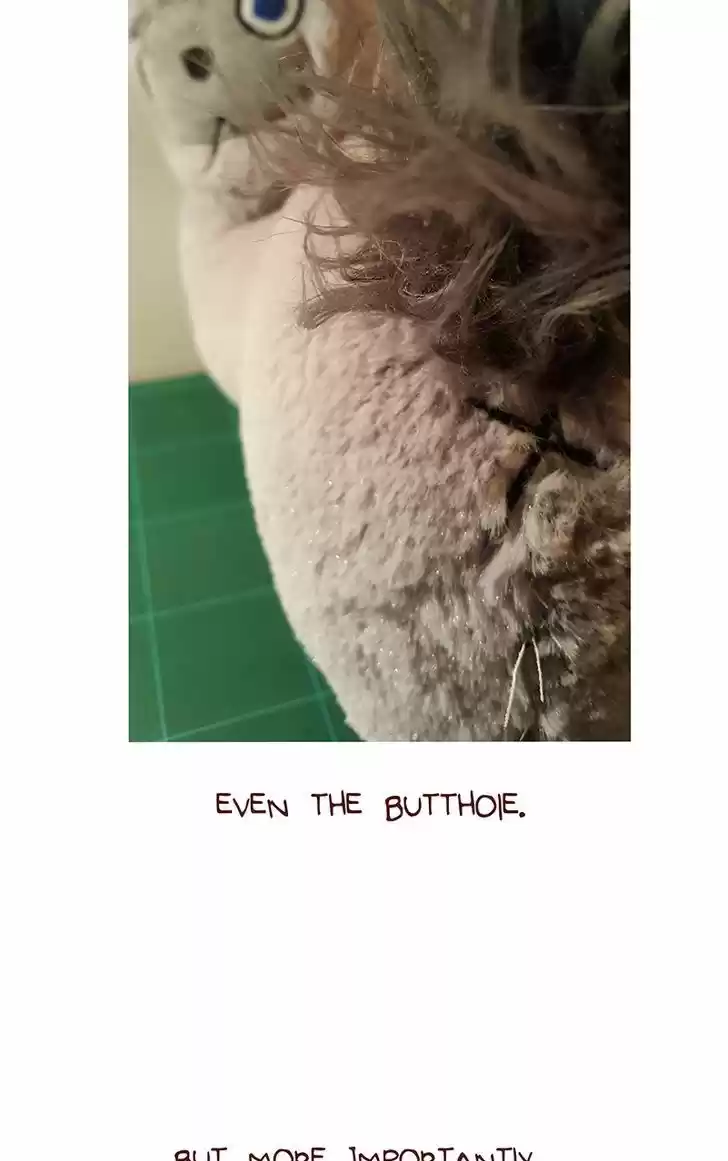 Saphie: The One-Eyed Cat 38