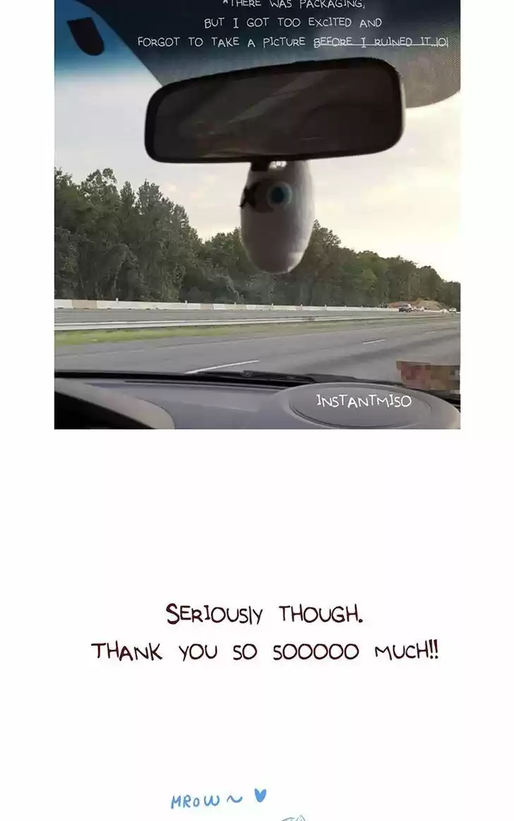 Saphie: The One-Eyed Cat 38