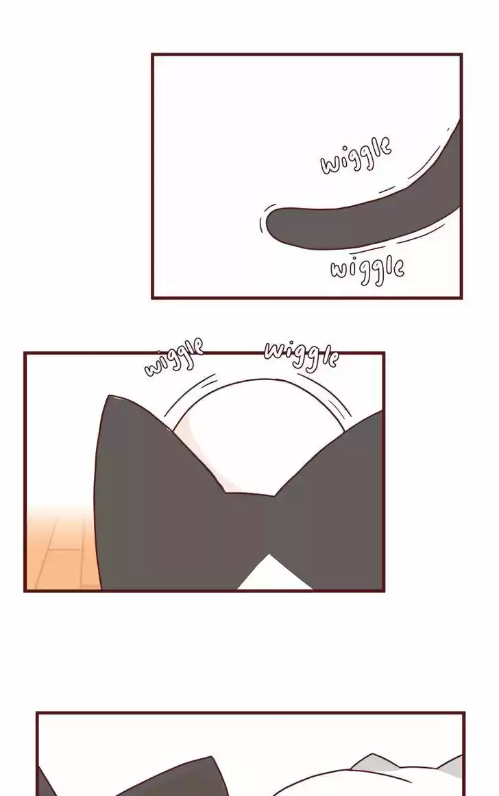 Saphie: The One-Eyed Cat 40