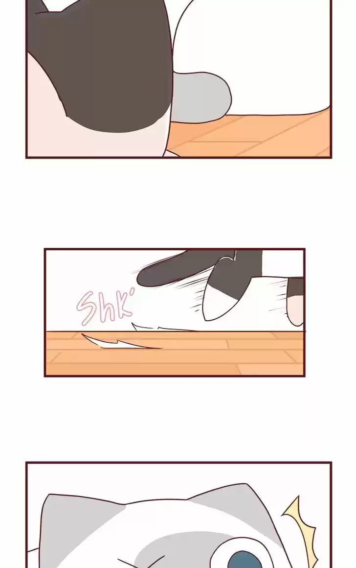 Saphie: The One-Eyed Cat 40