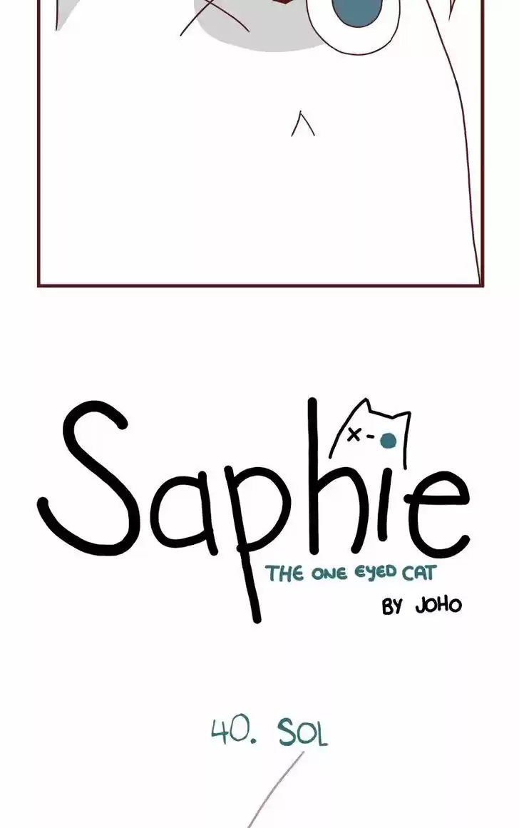 Saphie: The One-Eyed Cat 40