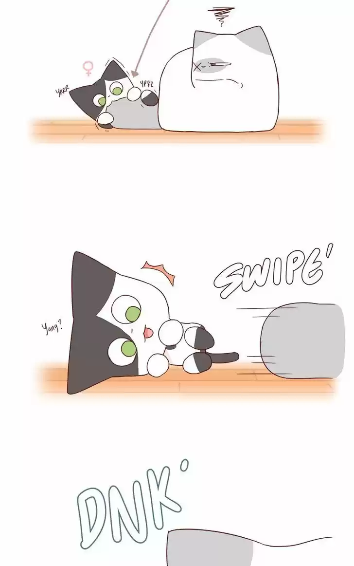 Saphie: The One-Eyed Cat 40