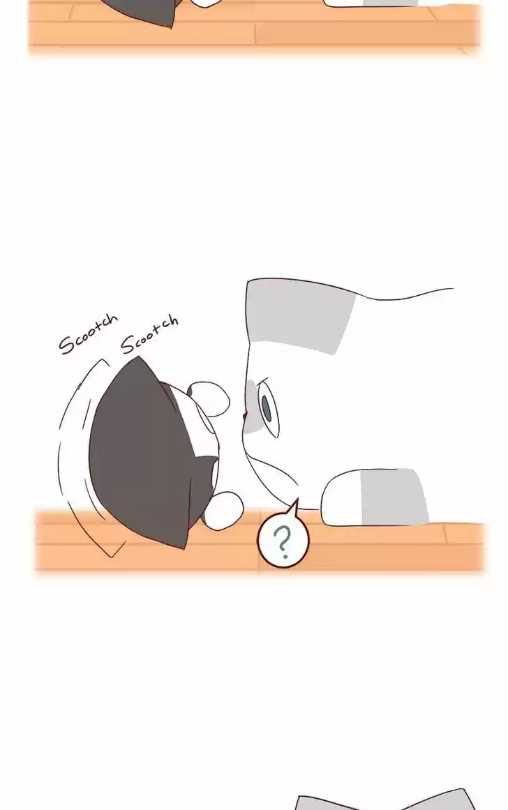 Saphie: The One-Eyed Cat 40