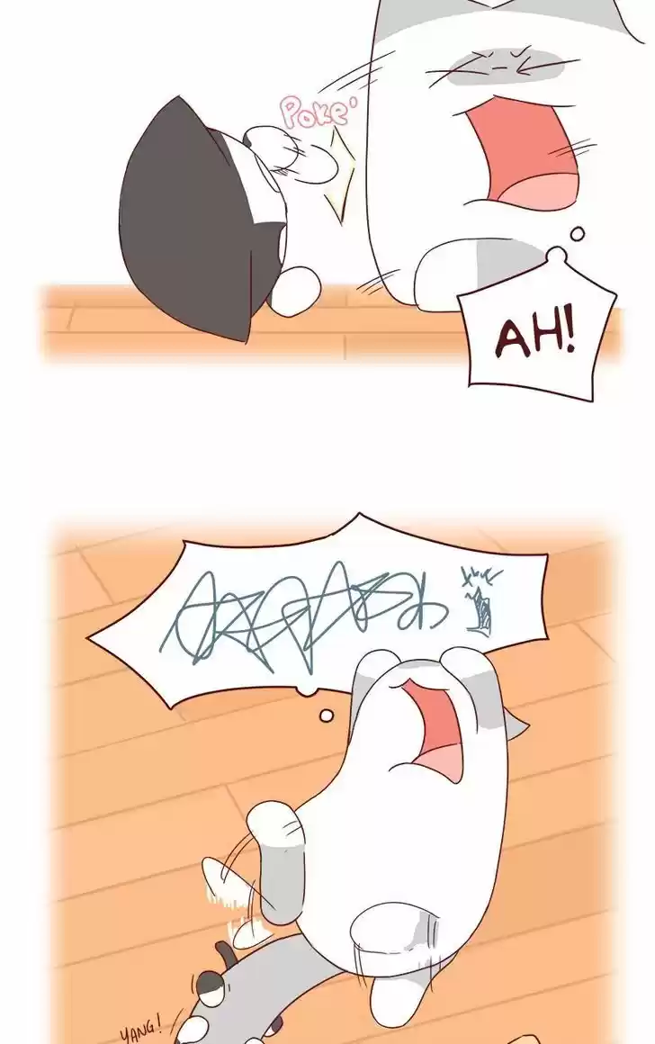 Saphie: The One-Eyed Cat 40