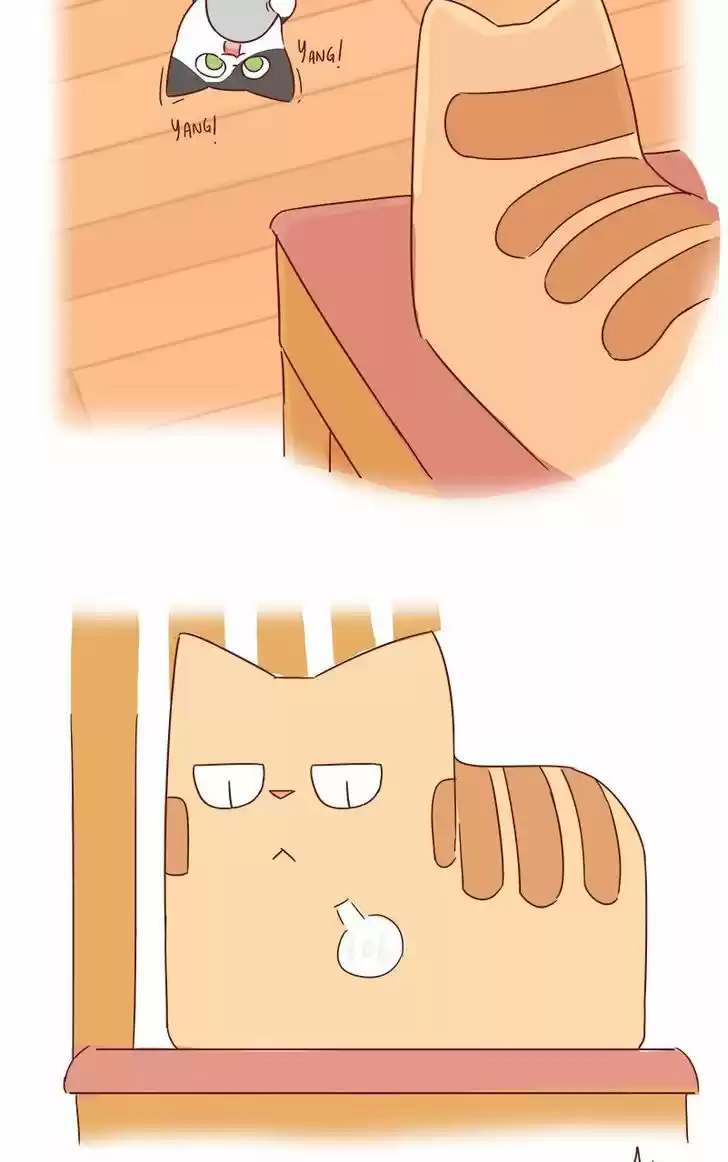 Saphie: The One-Eyed Cat 40