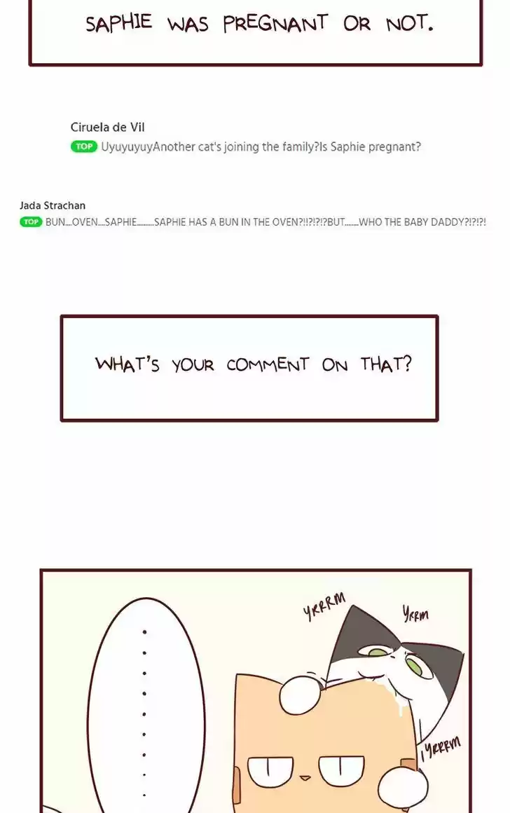 Saphie: The One-Eyed Cat 40