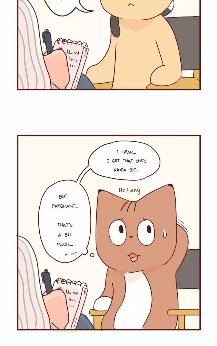 Saphie: The One-Eyed Cat 40